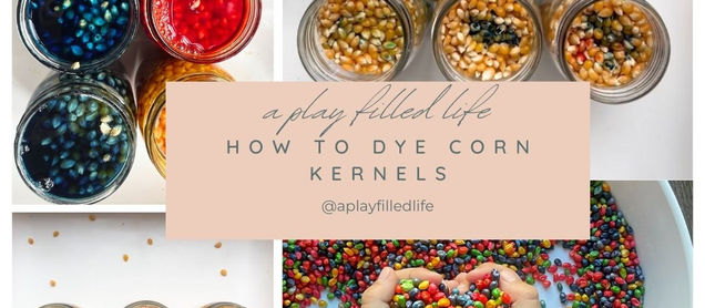 Using Corn Kernels for Sensory Play