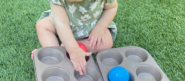 Muffin tin, balls & water!