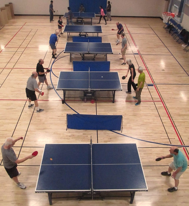 Table Tennis Ping Pong Fort Collins Colorado