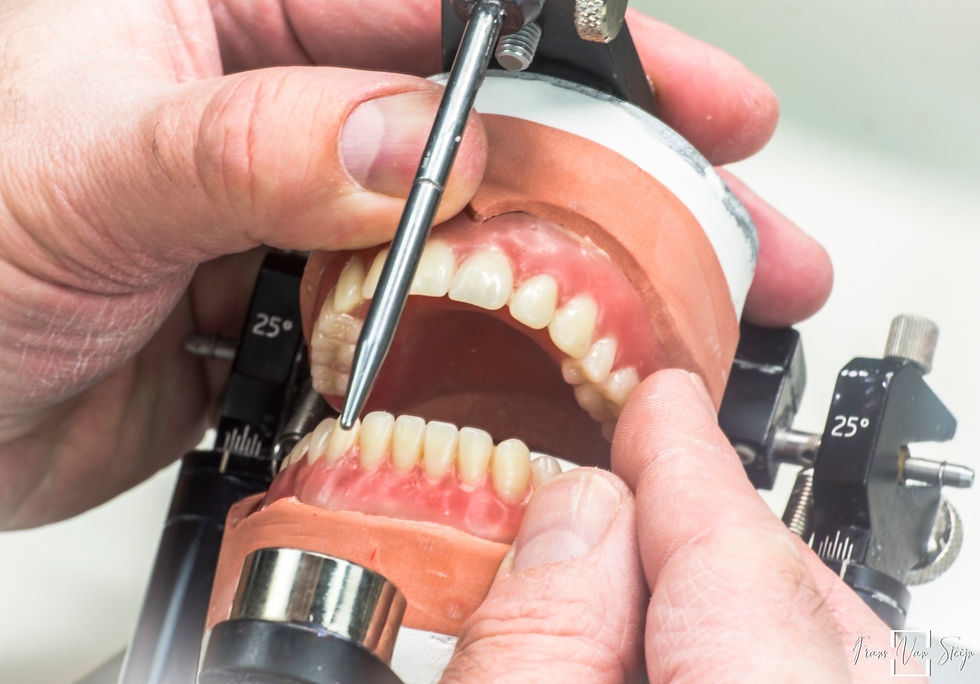 Articulator-2