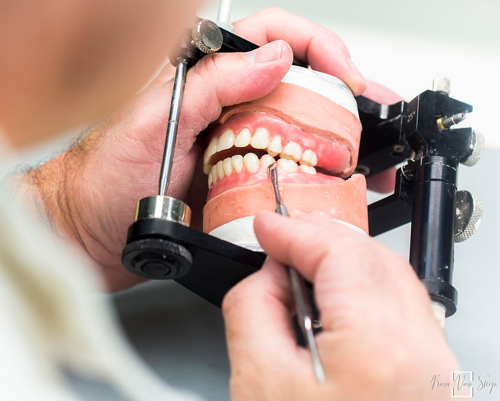 Articulator-2