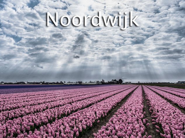 047 Noordwijk