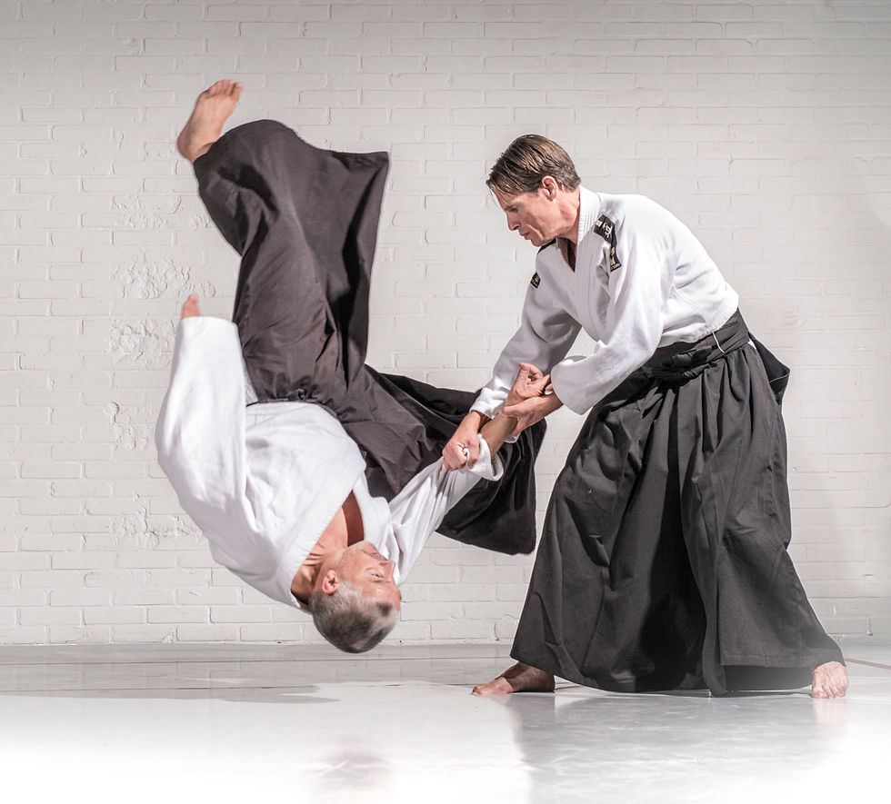 Kaizen Aikido Dennis en Richard 2