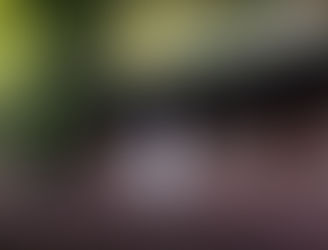 Exhibition "Cutting Edge 40 <Sweet Land>" has been extended through December!