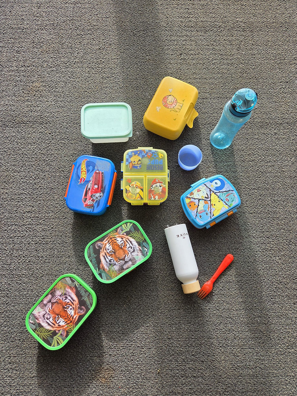 Fundsachen_gru_nes_Schulhaus_2