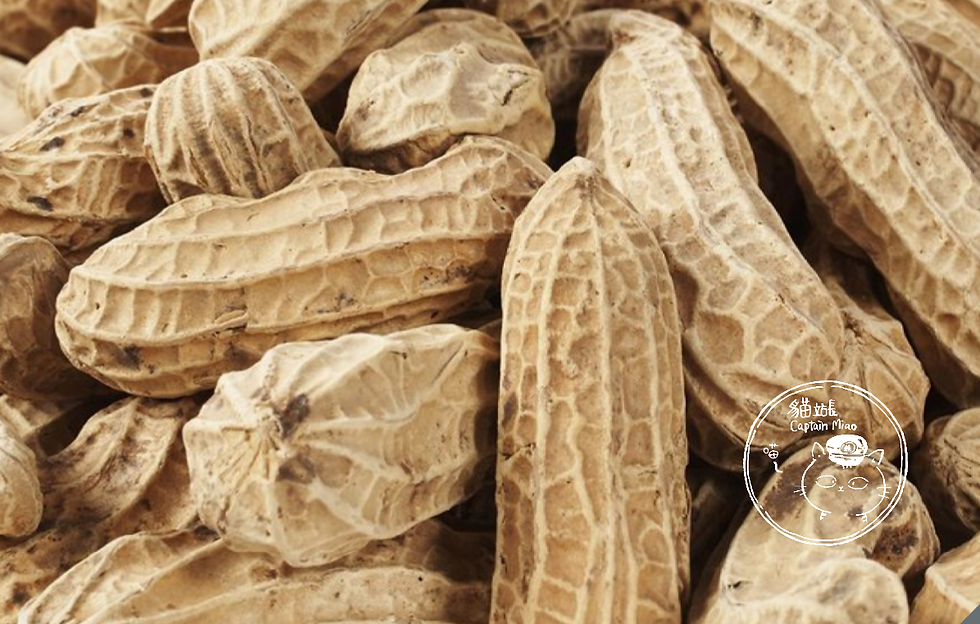 縮圖：【盛香珍】黑金剛帶殼花生