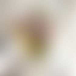 Photographie d’un bouquet de fleurs séchées multicolore sur fond blanc.