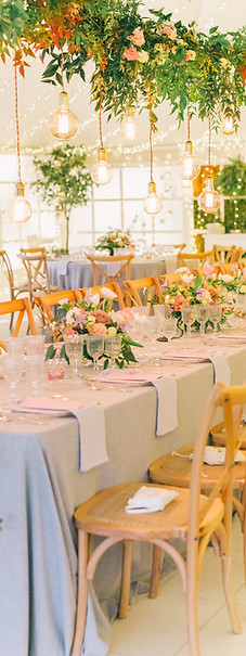 Photo végétal + décors.jpg