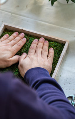Cadre Végétalisés et Fleuris