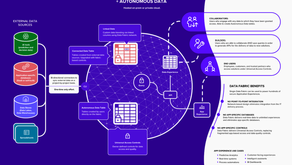 TrustRadius: What is Data Fabric? We Asked an Expert