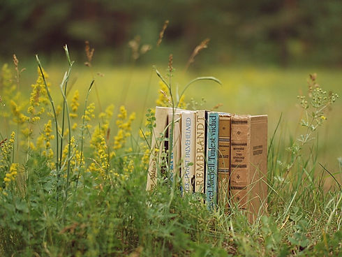 Books in grass.jpg