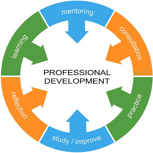 Prof Devt circle.jpg
