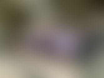 E6 MJSフェスティバル(学習発表会)