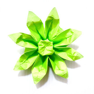 3D Flower Garbera Origami