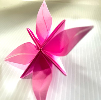 Origami_3D Flower_5_AZ JAPAN Culture