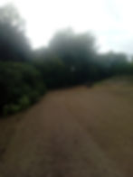 Terrassement - aménagement extérieur