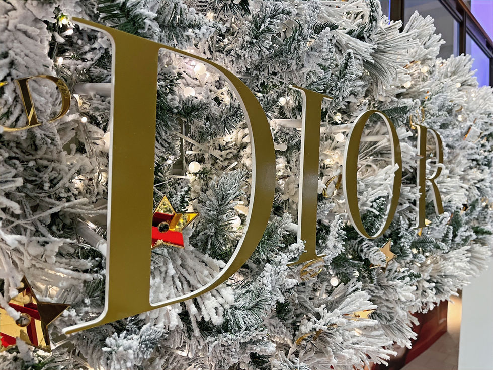 IMG_3588_Original (1)_edited.jpg