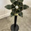 Thumbnail: Mid Century Modern Vintage Hollywood Regency White Glass Lotus Flower Floor Lamp