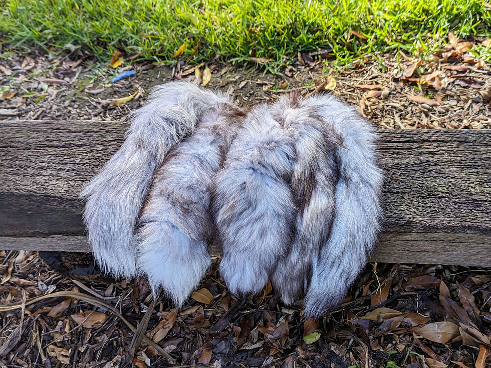 Thumbnail: B Grade Fox Tails 