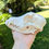 Thumbnail: Small/Medium Breed Dog Skull 