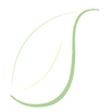 SunderlinLogo_Leaf_edited.png