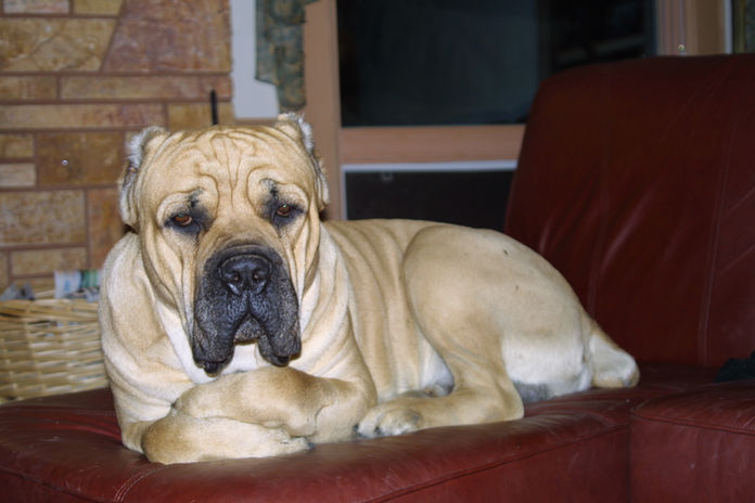 Why Did You Wake Me.jpg