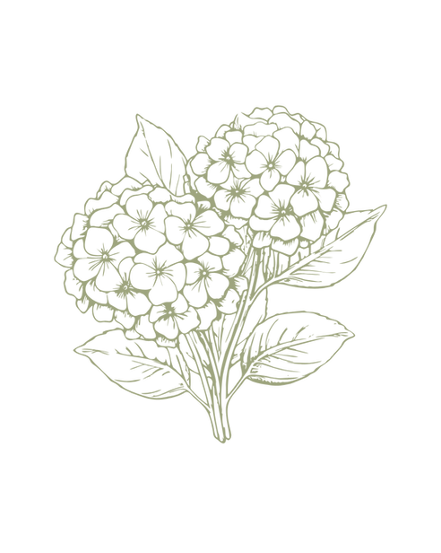 Decorative icon