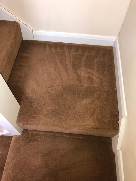 Cleaned Carpets on staircase