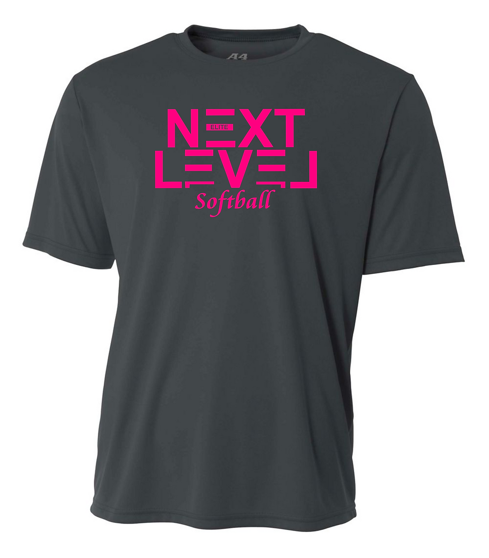 Thumbnail: A4 Next Level Softball team T-Shirt