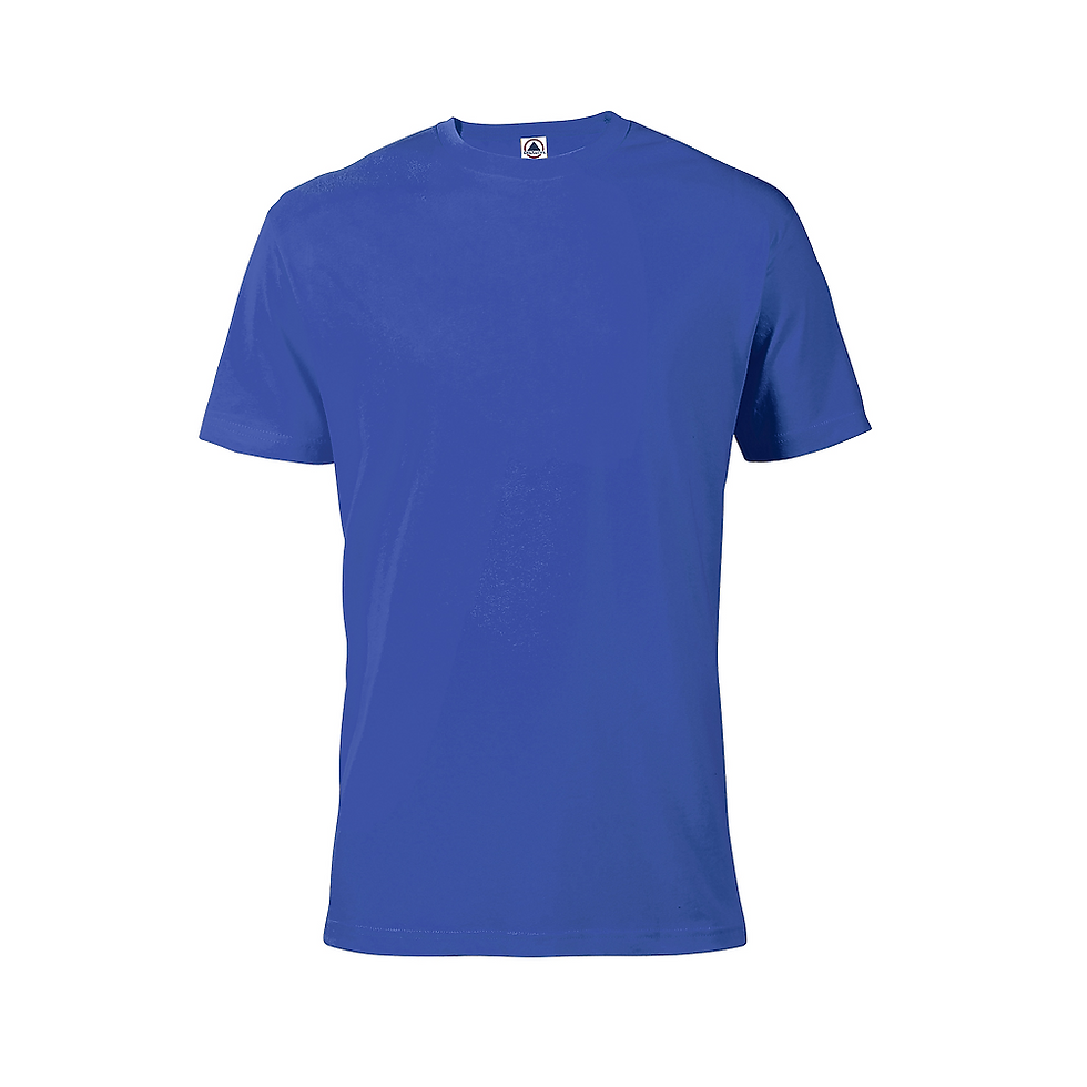 Thumbnail: Delta Dri Tshirt