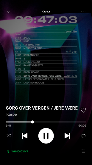 Helene Arja - Andreea Tecusan - Design Diploma - AHO - Karpe Sorgvergen