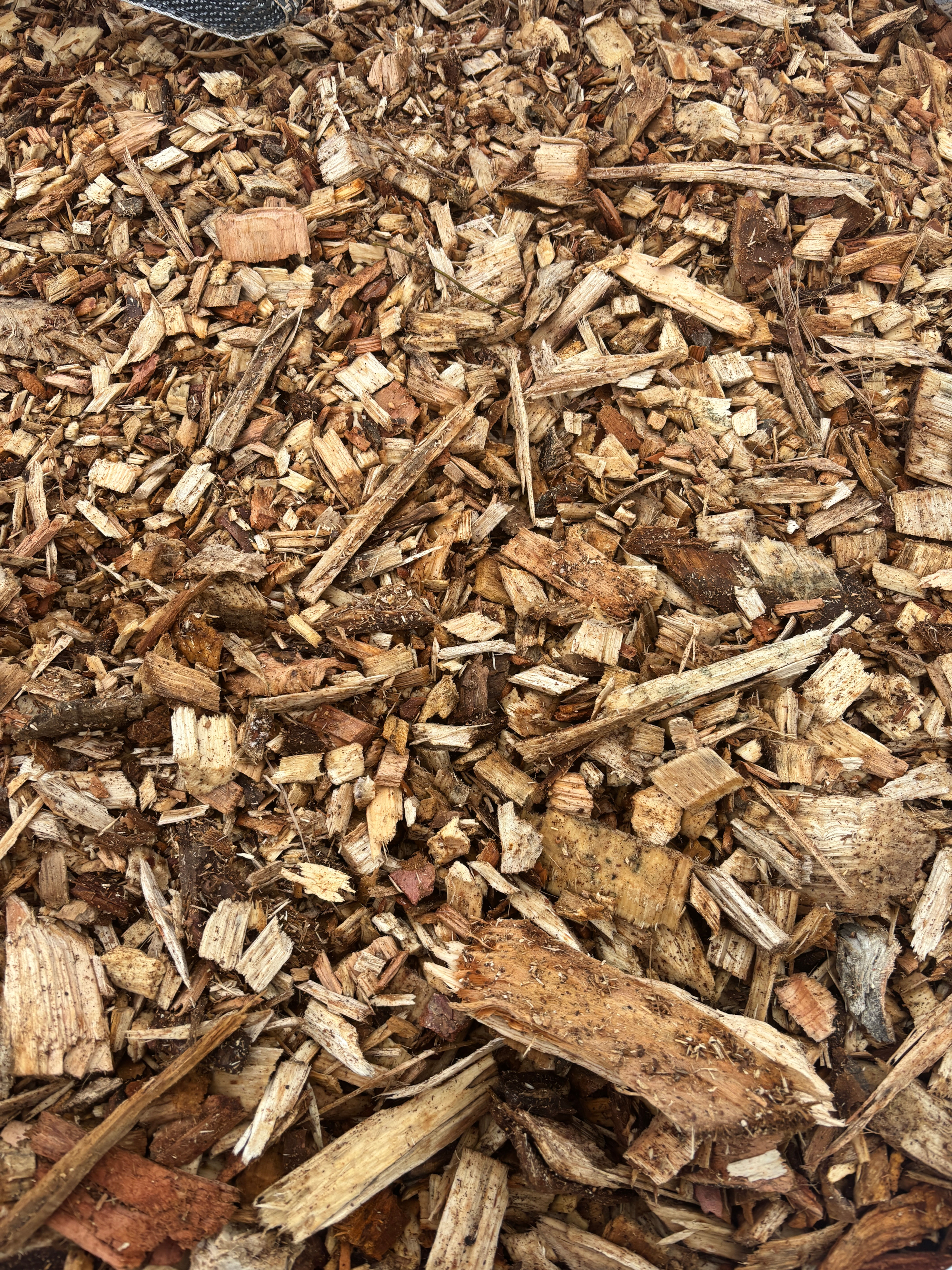 Bark Chippings Bulk Bag
