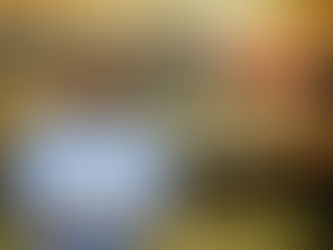 “Los llaneros le dieron la libertad a Colombia”