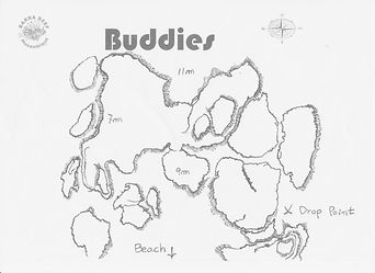 buddies.jpeg