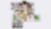 Three Bedroom Large Floor Plan_Three Bedroom Large Floor Plan-3.jpeg