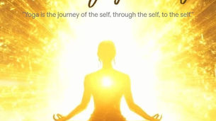 Harmonizing Mind, Body, and Soul: Celebrating the International Day of Yoga