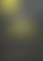 Honouring Human Rights Day: A Call for Global Equality