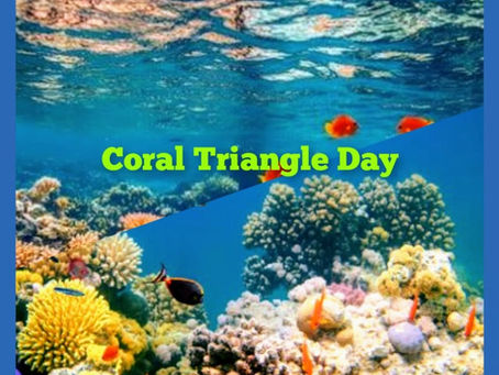 The Amazon of the Seas: Celebrating Coral Triangle Day 