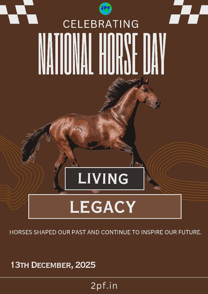 National Horse Day