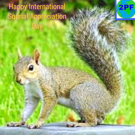 International Squirrel Appreciation Day