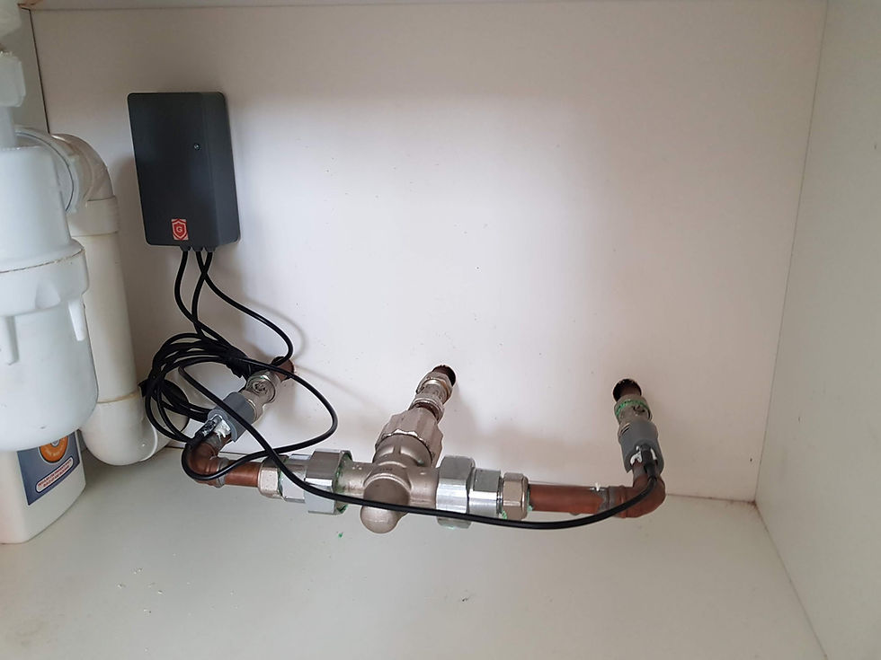 Gaurdian Installation 3