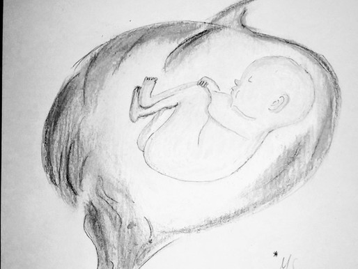 2# Sabías que....Existe una comunicación sensorial entre la mamá y el feto a partir del 1r trimestre