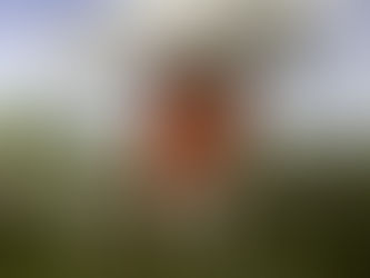 Entender y aceptar las inseguridades de la vida 