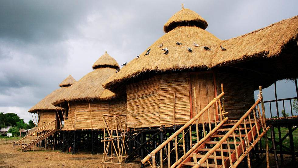 Untitled design (1).png