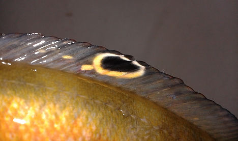 20161023_201426.jpg