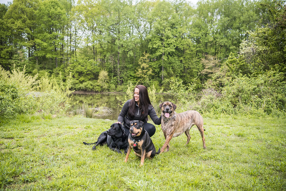 Laura-Eric-Engagement-Photos-from-the-Harty-PREVIEW-34.jpg