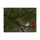 Thumbnail: Whispers of the Forest—Rolled Posters | Wall Decor for Bird Lovers