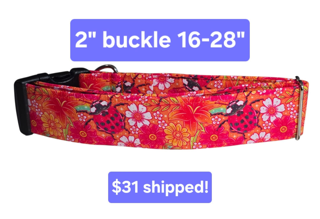 Glowberry Market Special! Lady Bugs