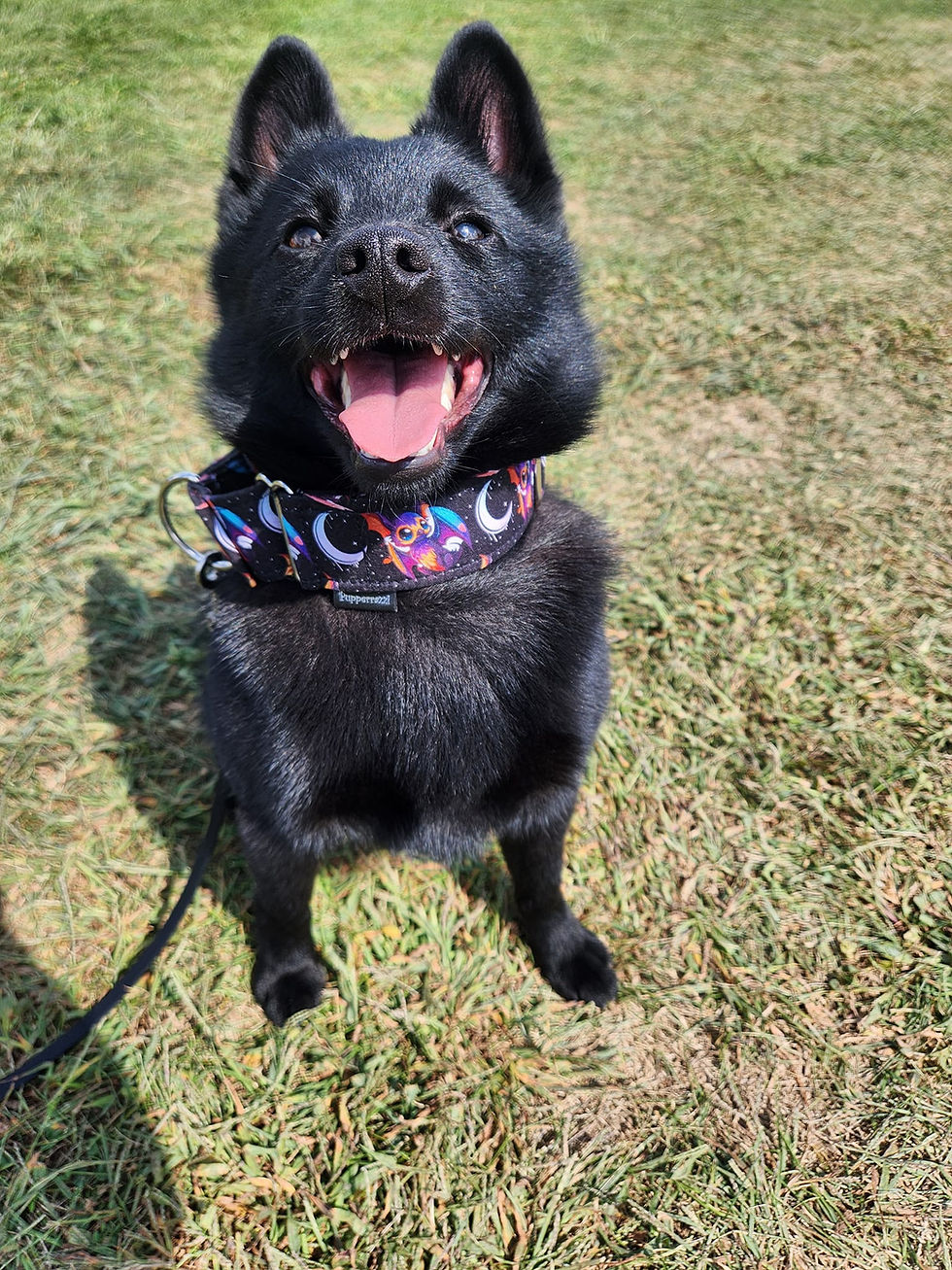 460176778_3825878527673830_4155062031318187557_n