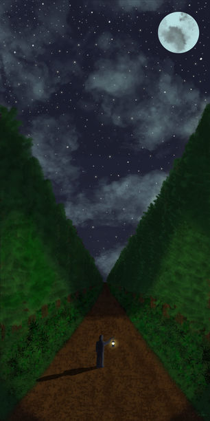 A solitary figure stands on a moonlit forest path, surrounded by towering trees under a star-filled sky. The person holds a glowing lantern, casting a soft light and long shadow, evoking a sense of quiet reflection and cosmic wonder.
